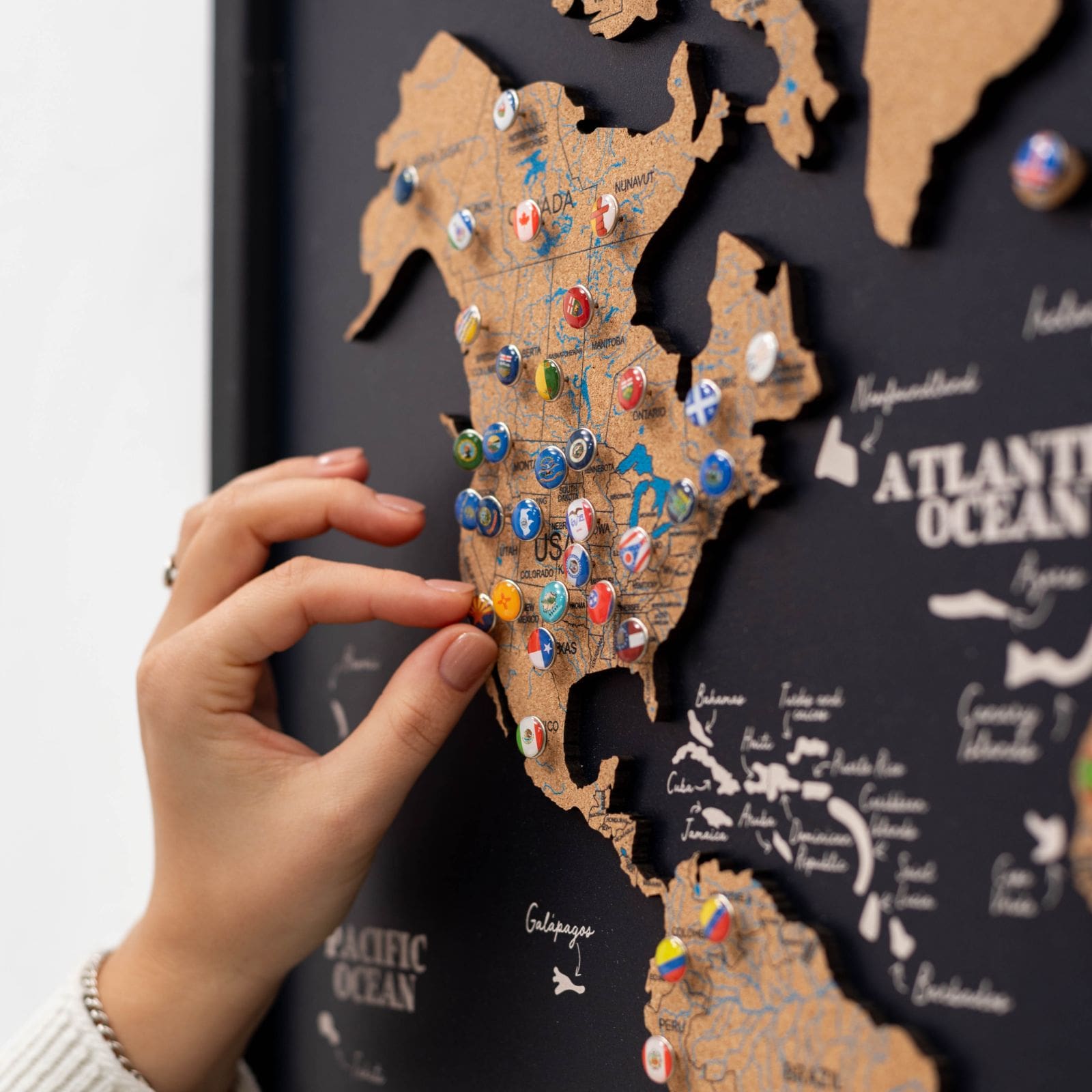 Cork Panel World Map Modern Minimalist Wall Art Brown