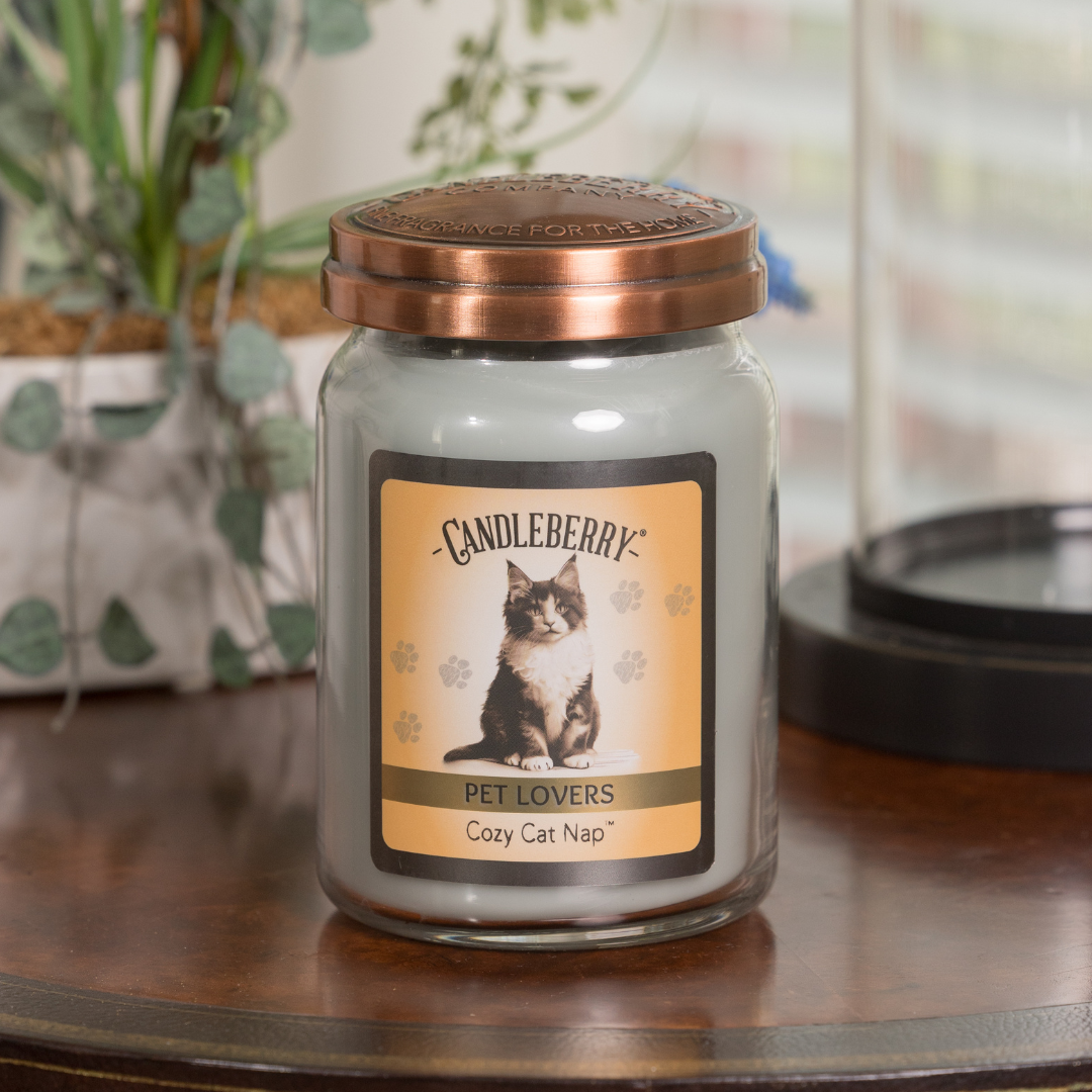 Cozy Cat Nap Large Jar Candle | Soy Blend Glass 135hr Burn
