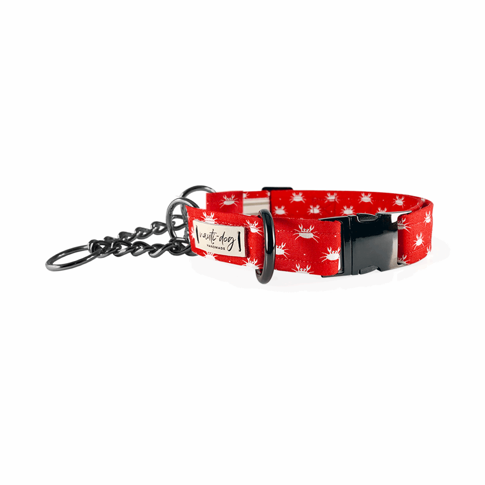 Crabby Red Maryland Crab Coastal Buckle & Martingale Dog Collar