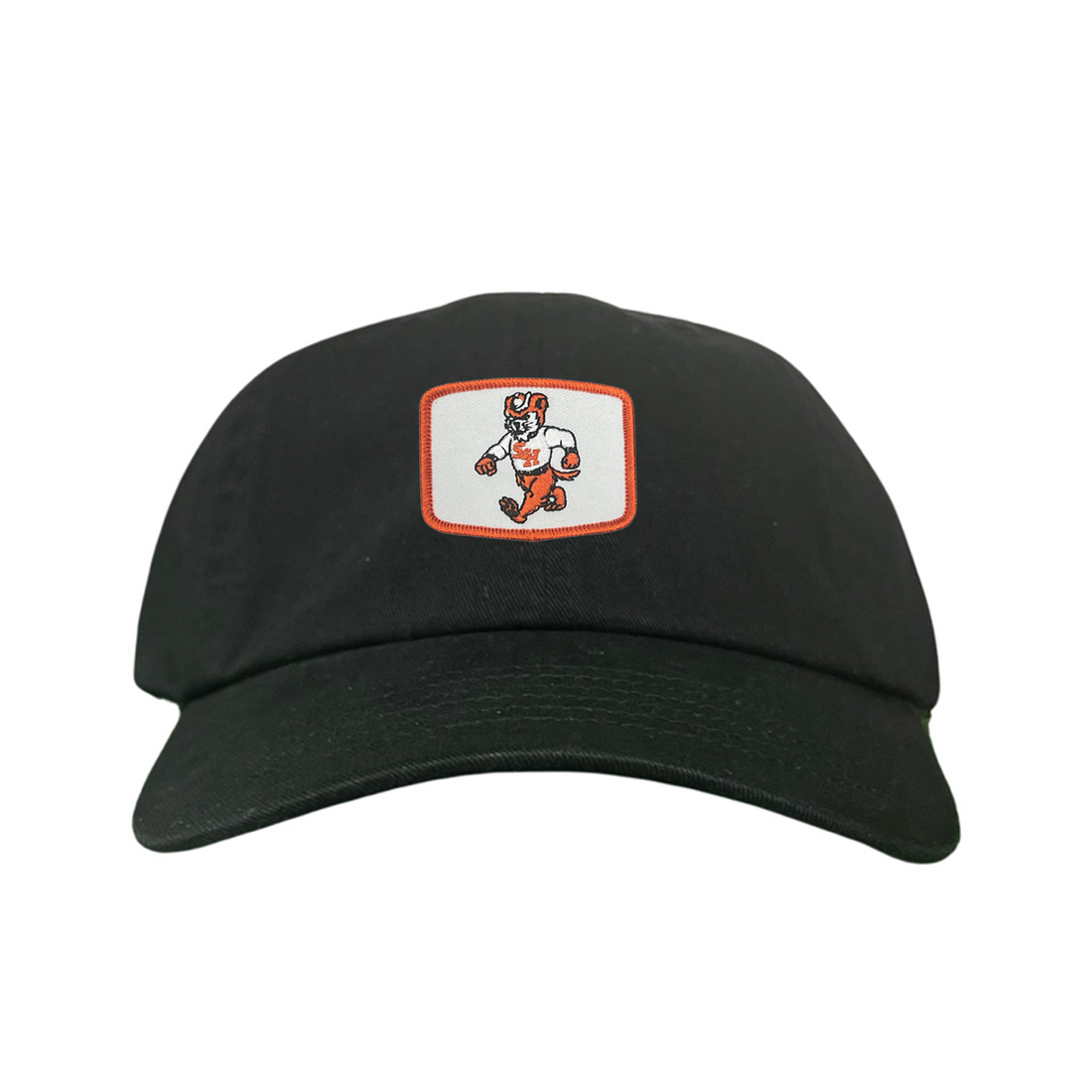 Sam Houston Bearkat Limited Edition Silver Mesh Snapback Hat