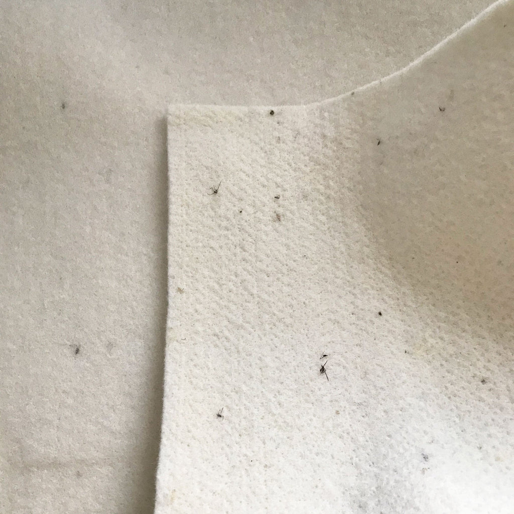 Organic Wool Mattress Protection Pad