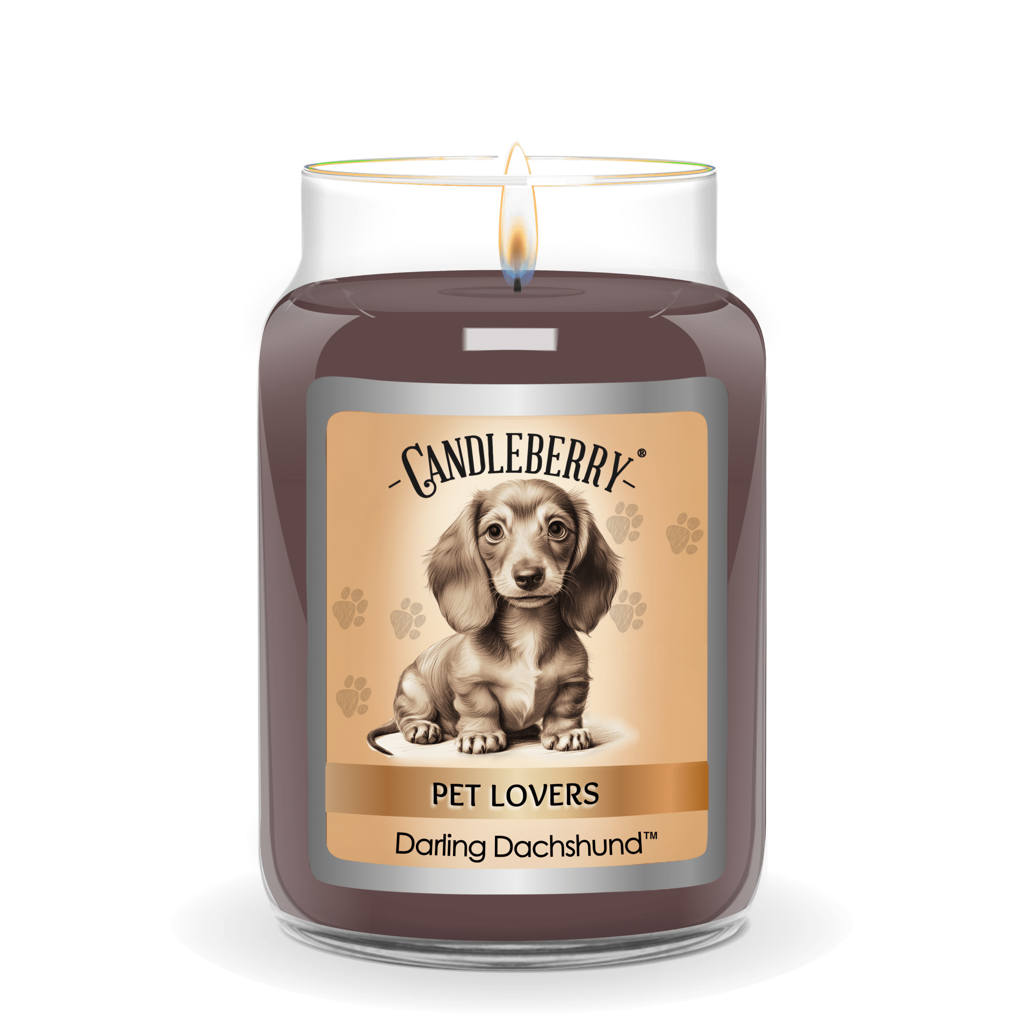 Darling Dachshund Large Jar Candle | 135-Hour Soy Blend