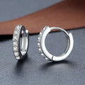 925 Sterling Silver Diamond-Studded Trendy Earrings Simple And Stylish For Students