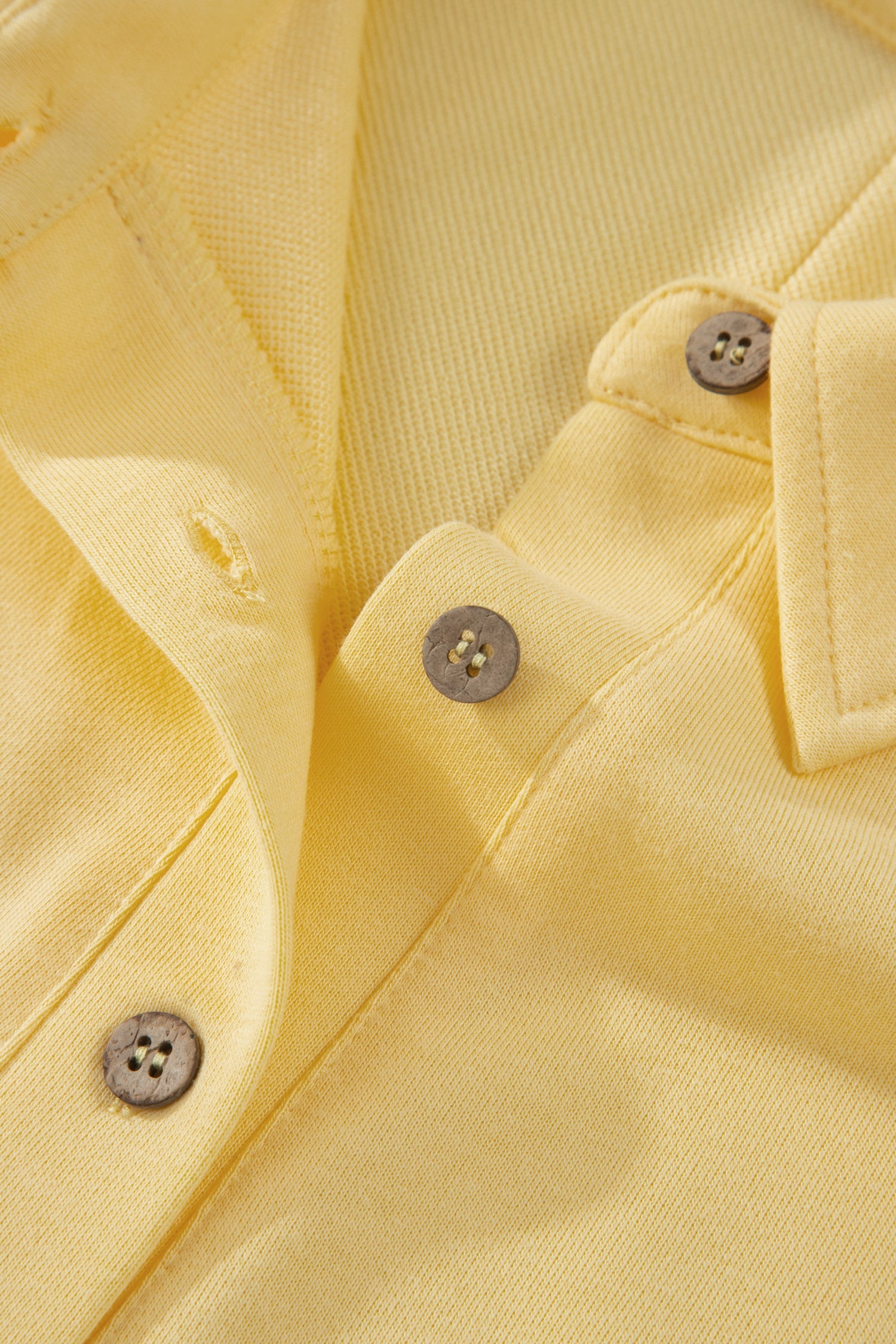 Legacy Solid Color Polo Tee