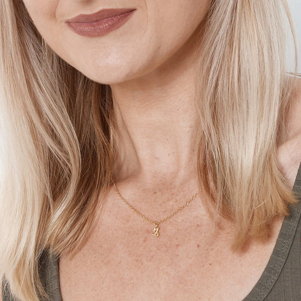 December 22nd Capricorn Necklace