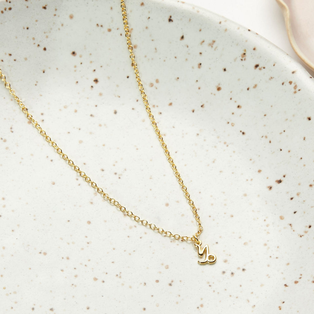 December 30th Capricorn Necklace