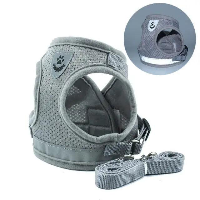 No-Pull Mesh Dog Harness and Leash Set for Small Dogs and Puppies