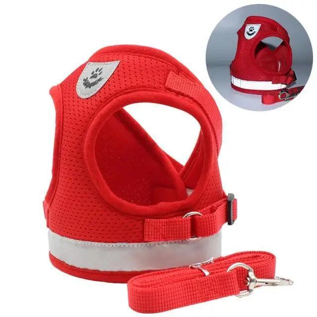 No-Pull Mesh Dog Harness and Leash Set for Small Dogs and Puppies