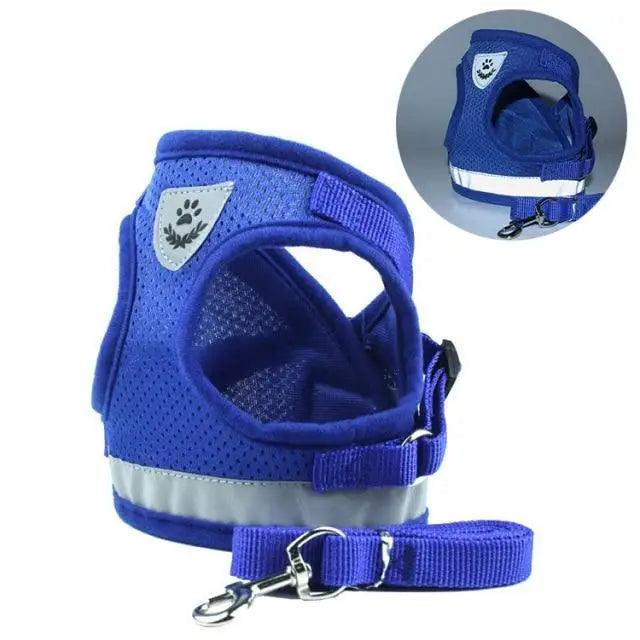 No-Pull Mesh Dog Harness and Leash Set for Small Dogs and Puppies