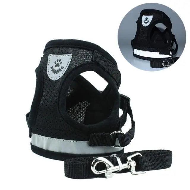 No-Pull Mesh Dog Harness and Leash Set for Small Dogs and Puppies