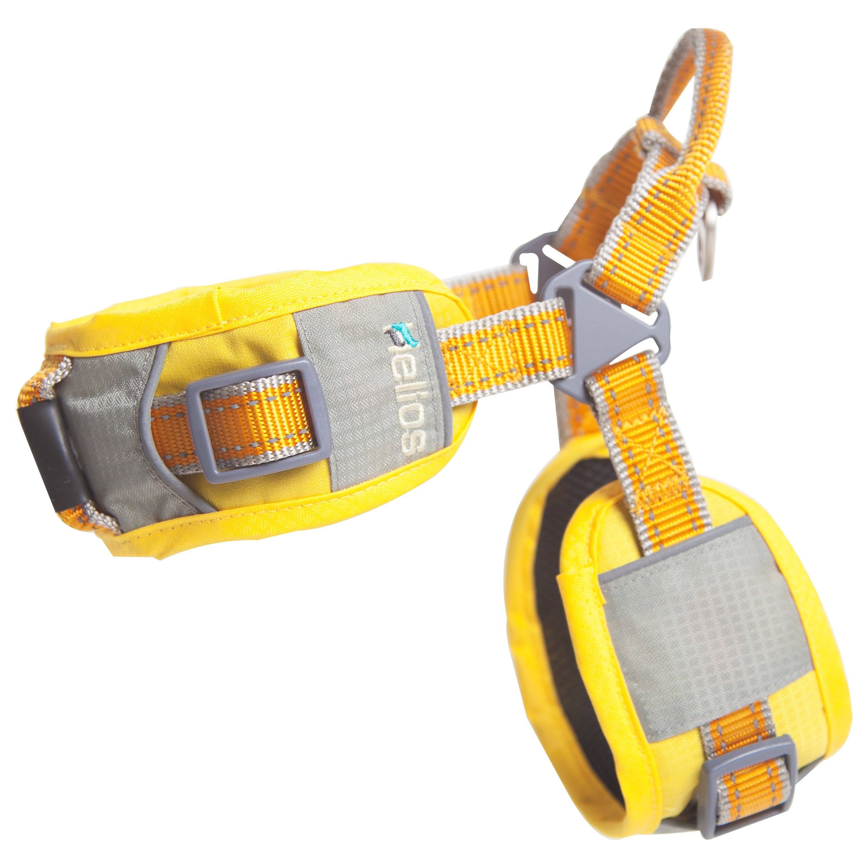 Dog Helios 'Geo-turf' Performance Adjustible and Reflective Dog Harness and Leash