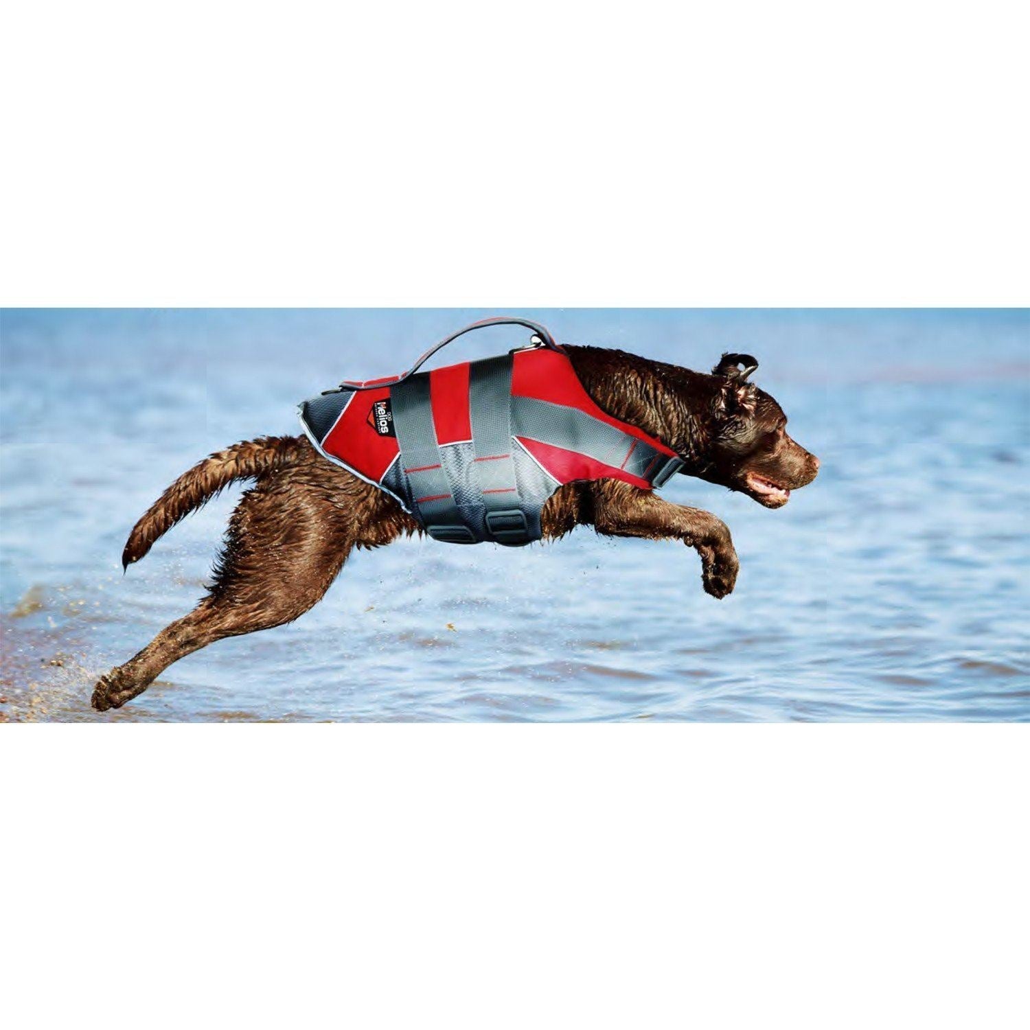 Dog Helios ® 'Splash-Explore' Reflective and Adjustable Floating Safety Dog Life Jacket