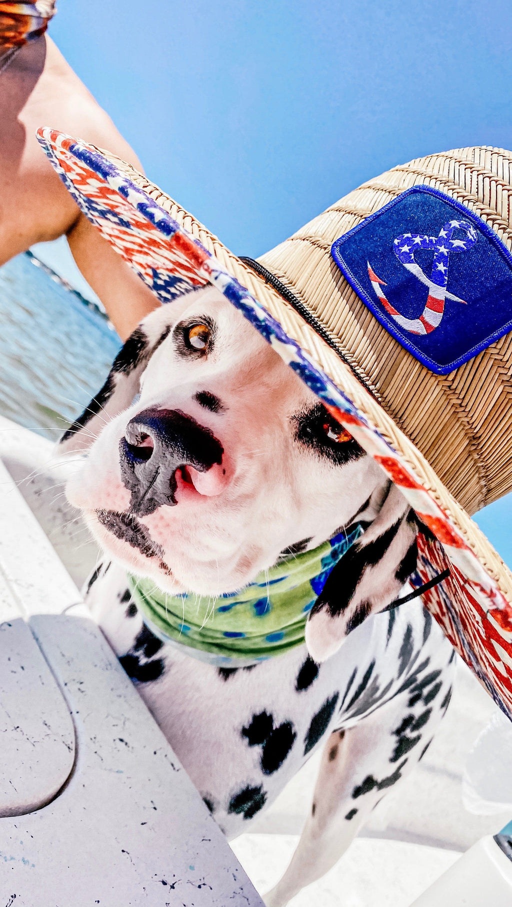 American Flag Lifeguard Straw Hat with Stretch Fit