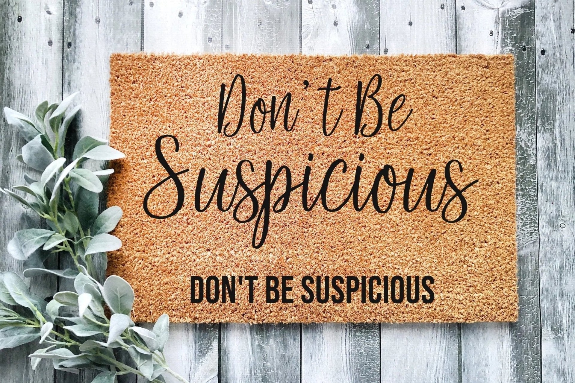 Don't Be Suspicious Funny Modern Coir Doormat