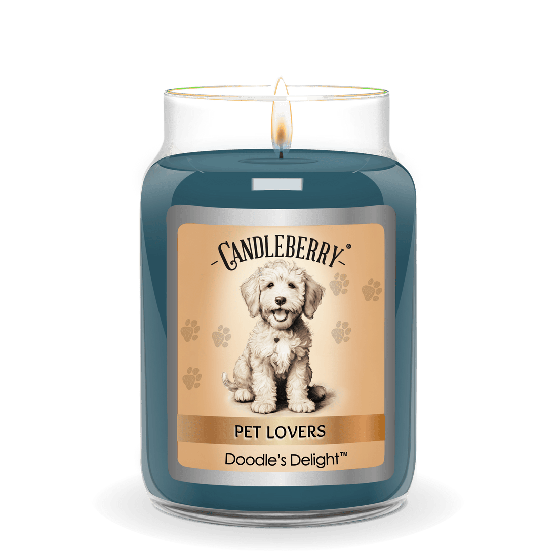 Doodle's Delight™ - Large Jar Candle (Collective)