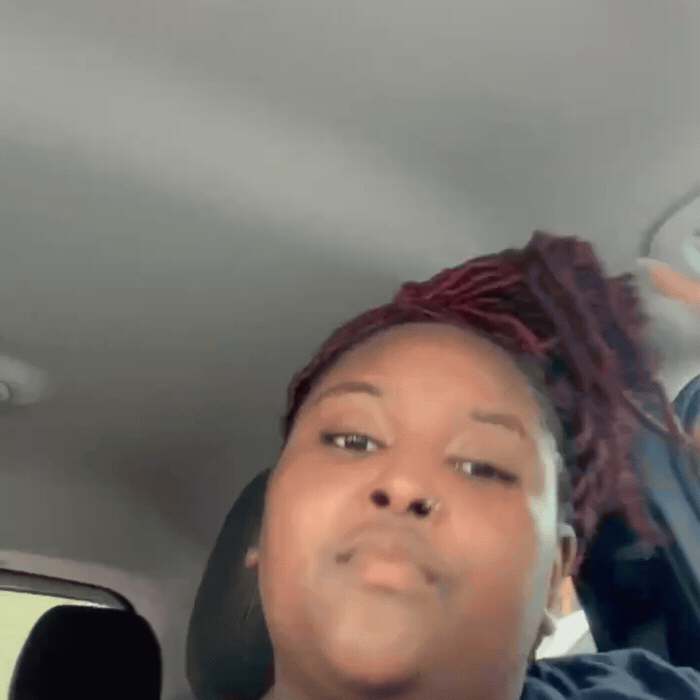 3-Pack Buckle Scrunchies Bundle - No Snag, No Tangle