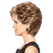 Dream Do Volumizing Fashion Wig with Natural Layers