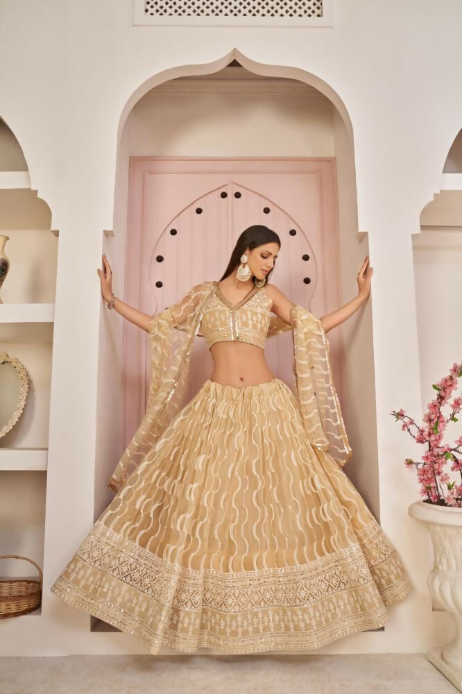 Beige Chiku Butterfly Net Lehenga with Zari and Sequence Work