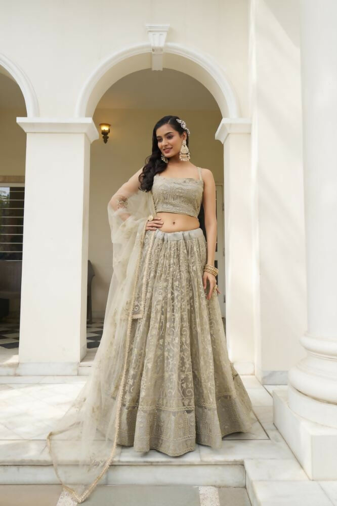 Ivory butterfly net lehenga choli with tone-to-tone thread and sequence work