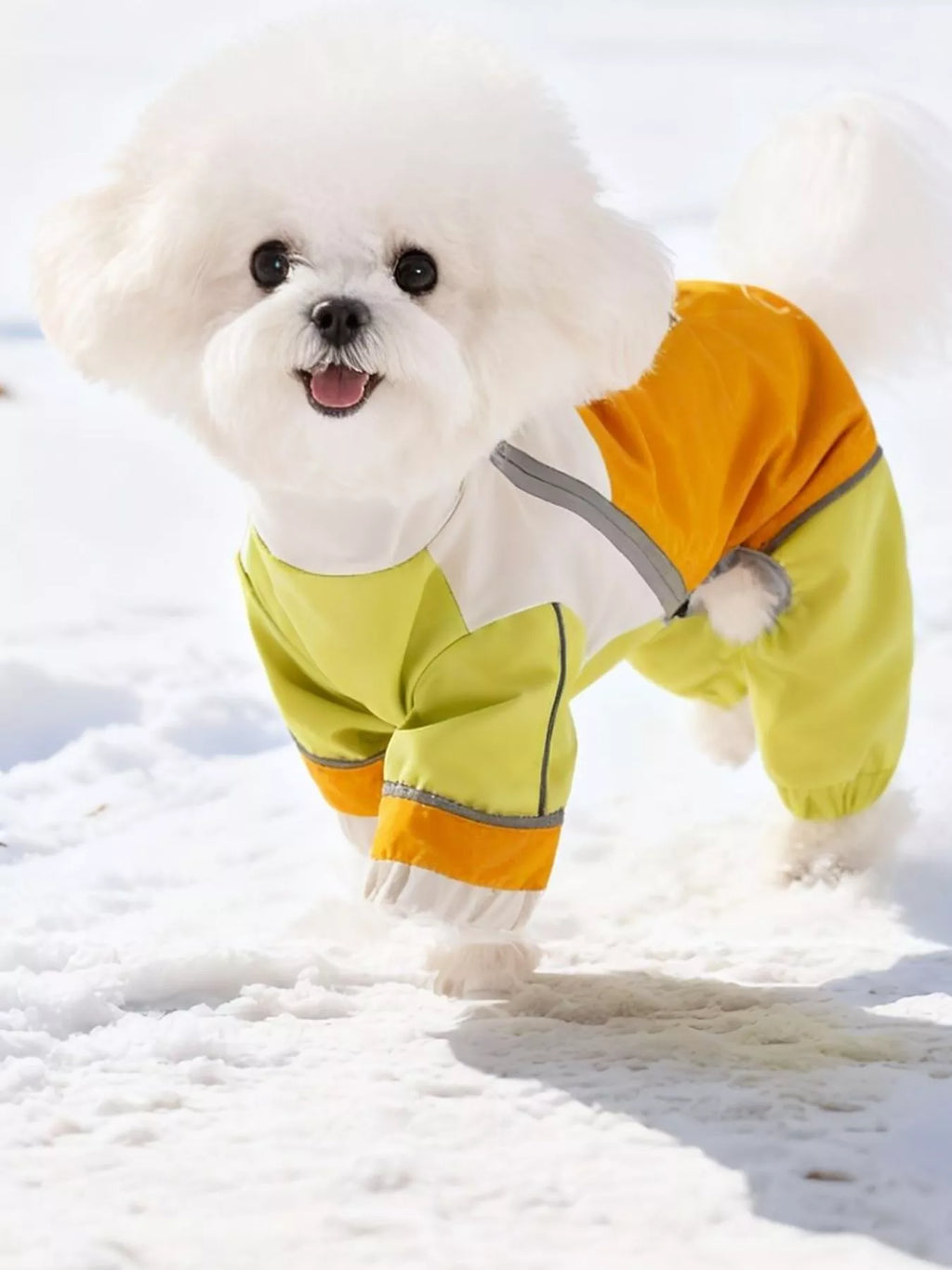 e8552479-e4d4-45eb-b387-8848ca788bc6-Max-Origin