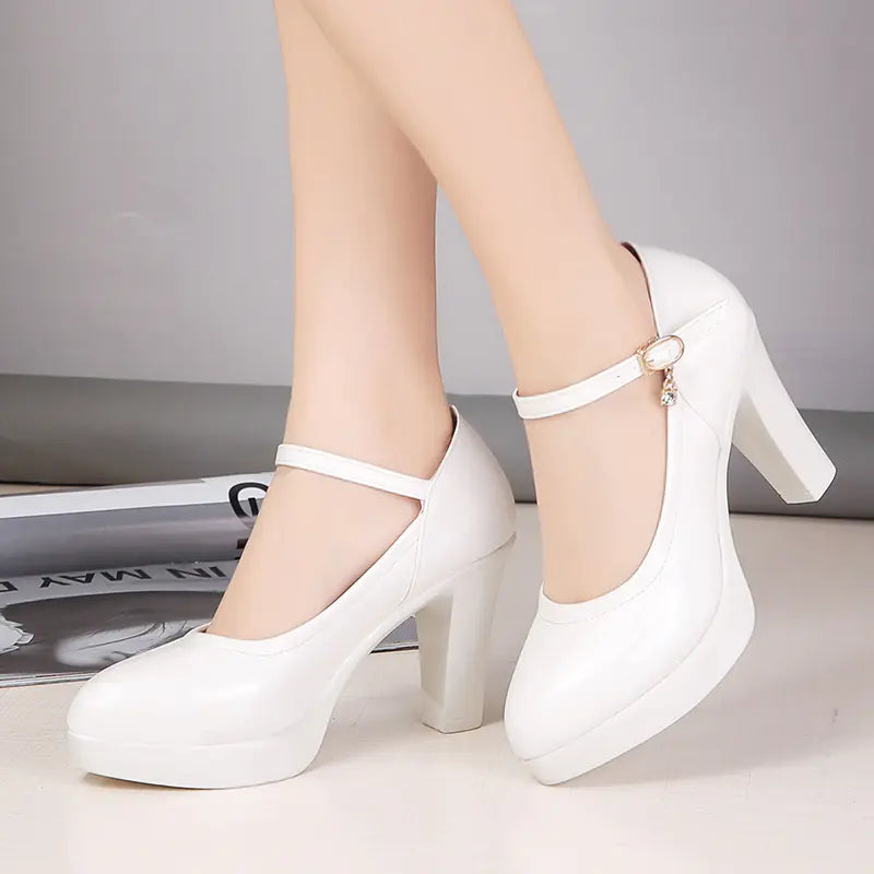 Pointed Toe Chunky Heels for Women