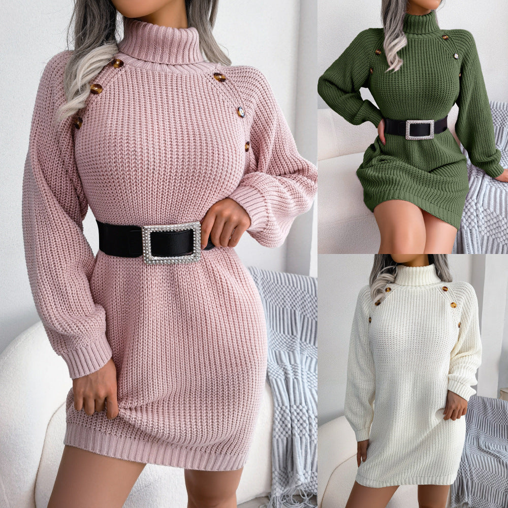Women’s Turtleneck Long Sleeve Knit Sweater Dress