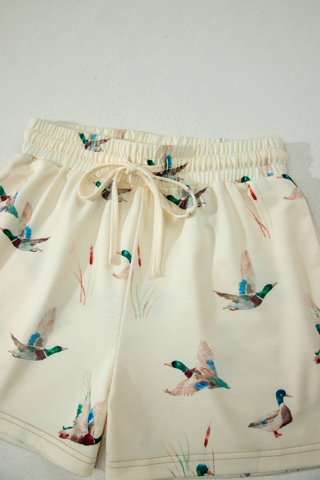 Whimsical Mallard Duck Print Oversized Tee and Shorts Set