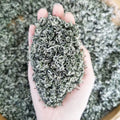 Misty Cloud Green Tea Mengdingshan Maofeng Fragrant