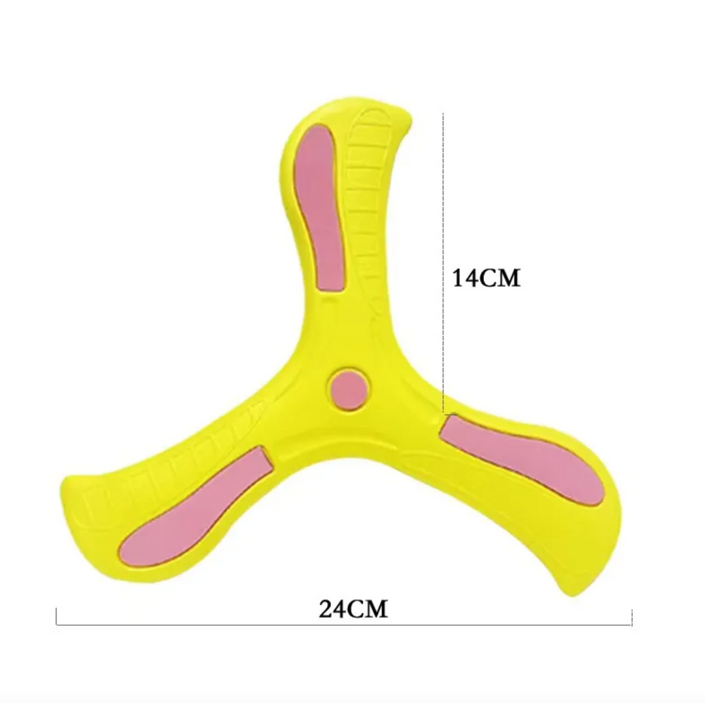 Flexible Boomerang Toy