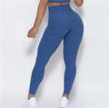 High Waist Yoga Clothes with Hip Lift Sports Bra