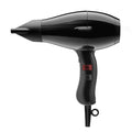 3900 Light Ionic Hair Dryer - High Power Professional Blow Dryer