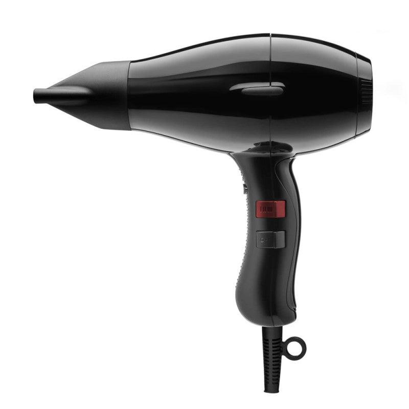 3900 Light Ionic Hair Dryer - High Power Professional Blow Dryer