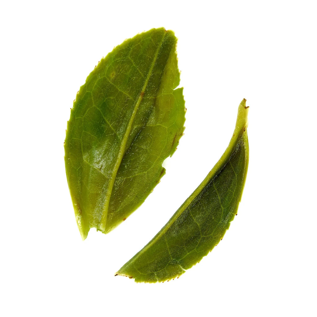 Emerald Single Estate Pi Lo Chun Organic Green Tea 60g - Image 9