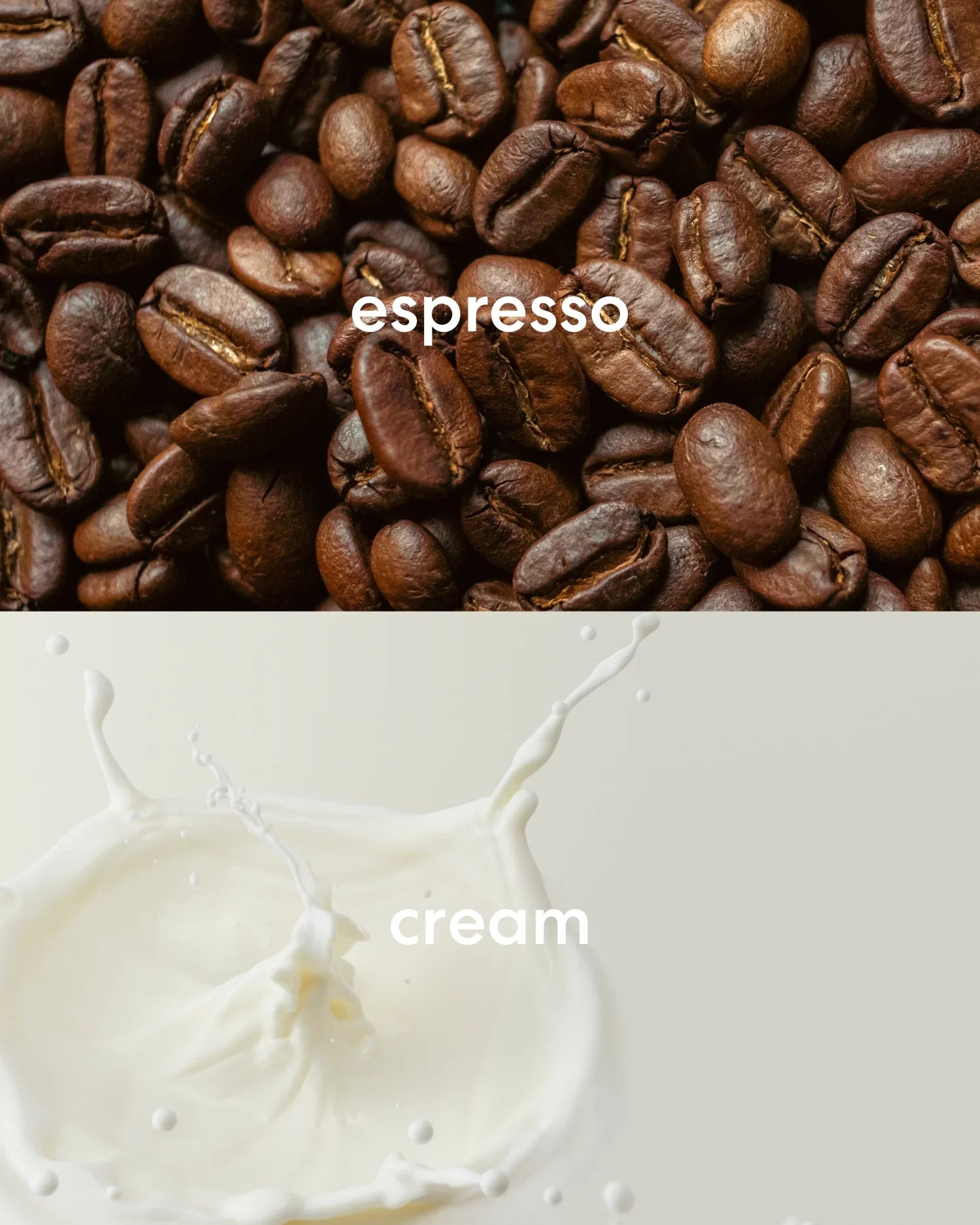 Bodega Coffee (Little)