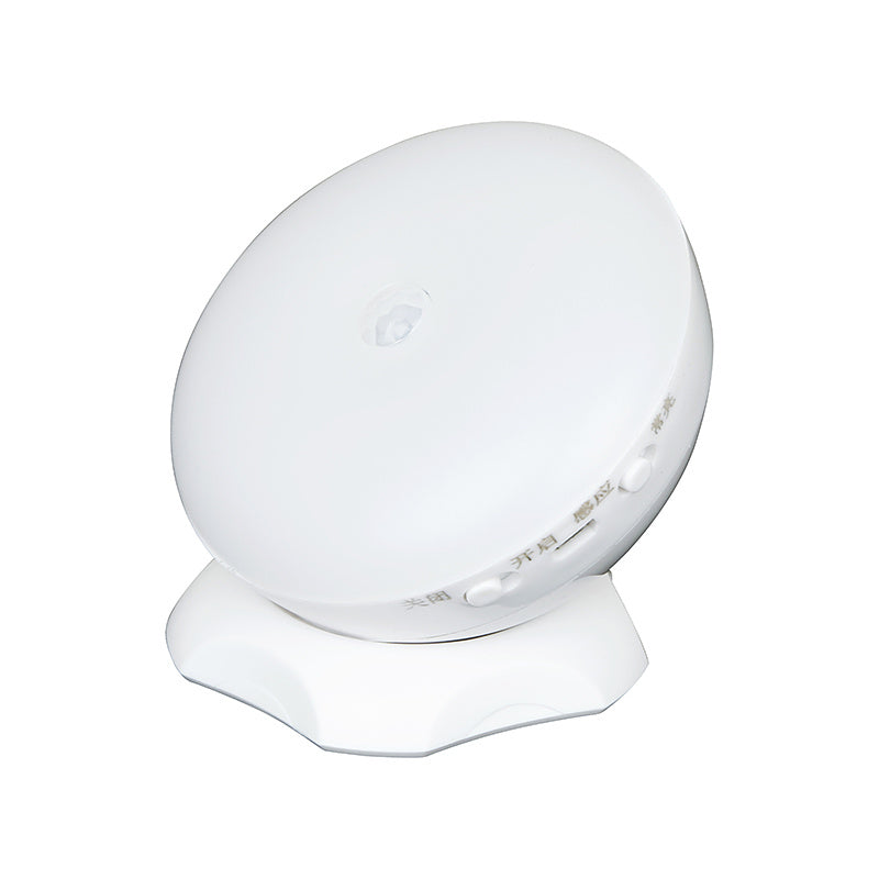 Intelligent Human Sensor LED Night Light