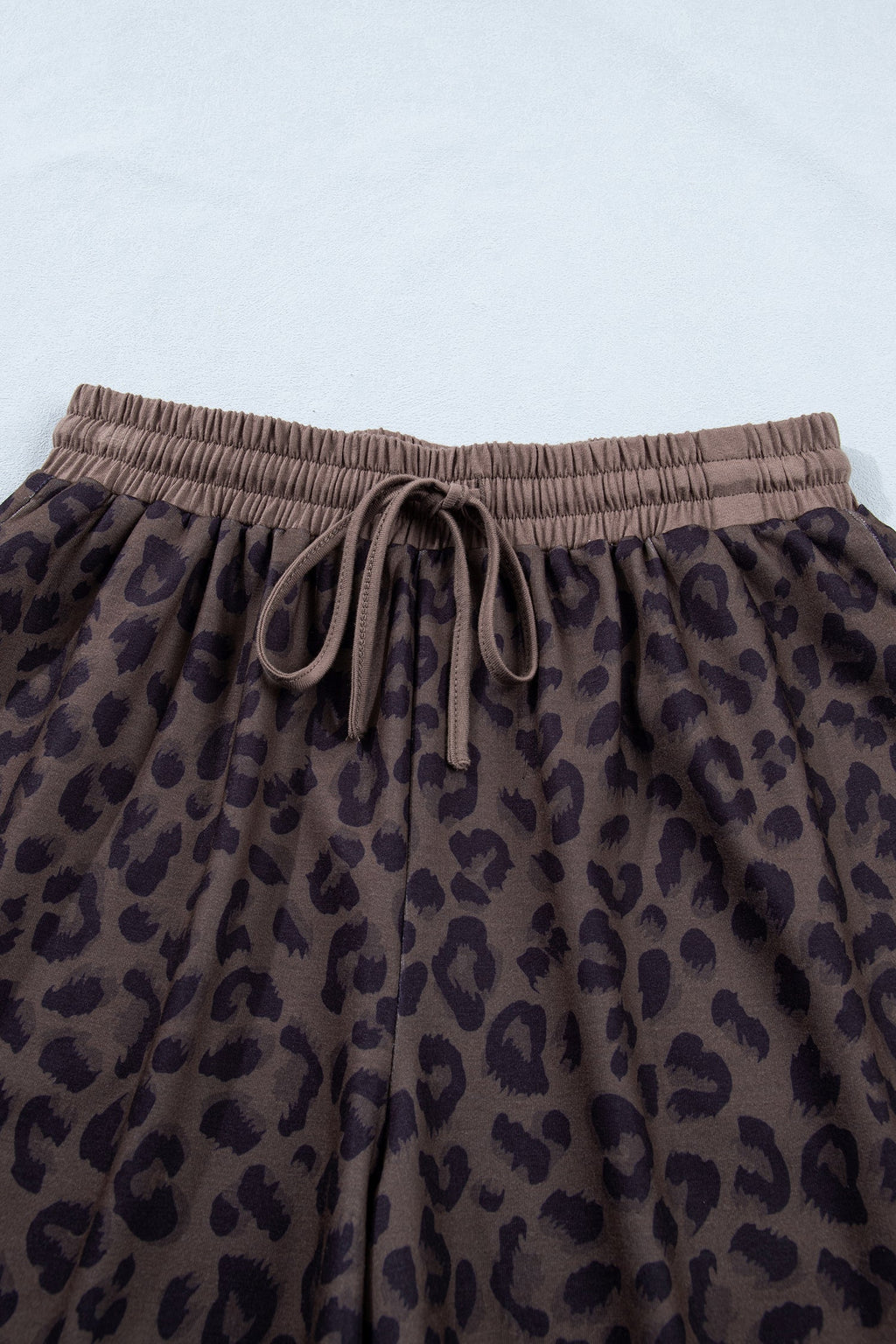 Leopard Print V-Neck Collared Top & Relaxed Shorts Set