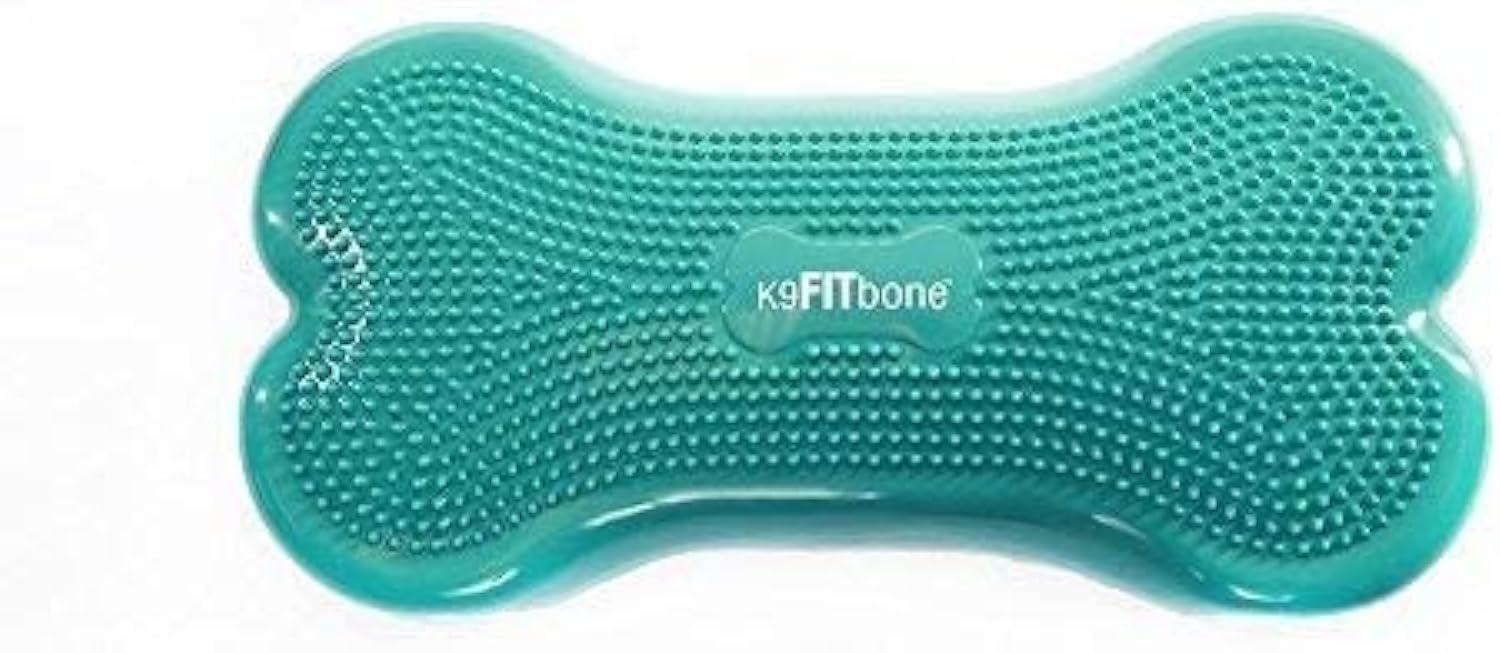 FitPaws® K9FITbone® - Regular Aqua | Dog Balance Training Platform & Exercise Equipment | Workout Tool for Strength Core & Stability