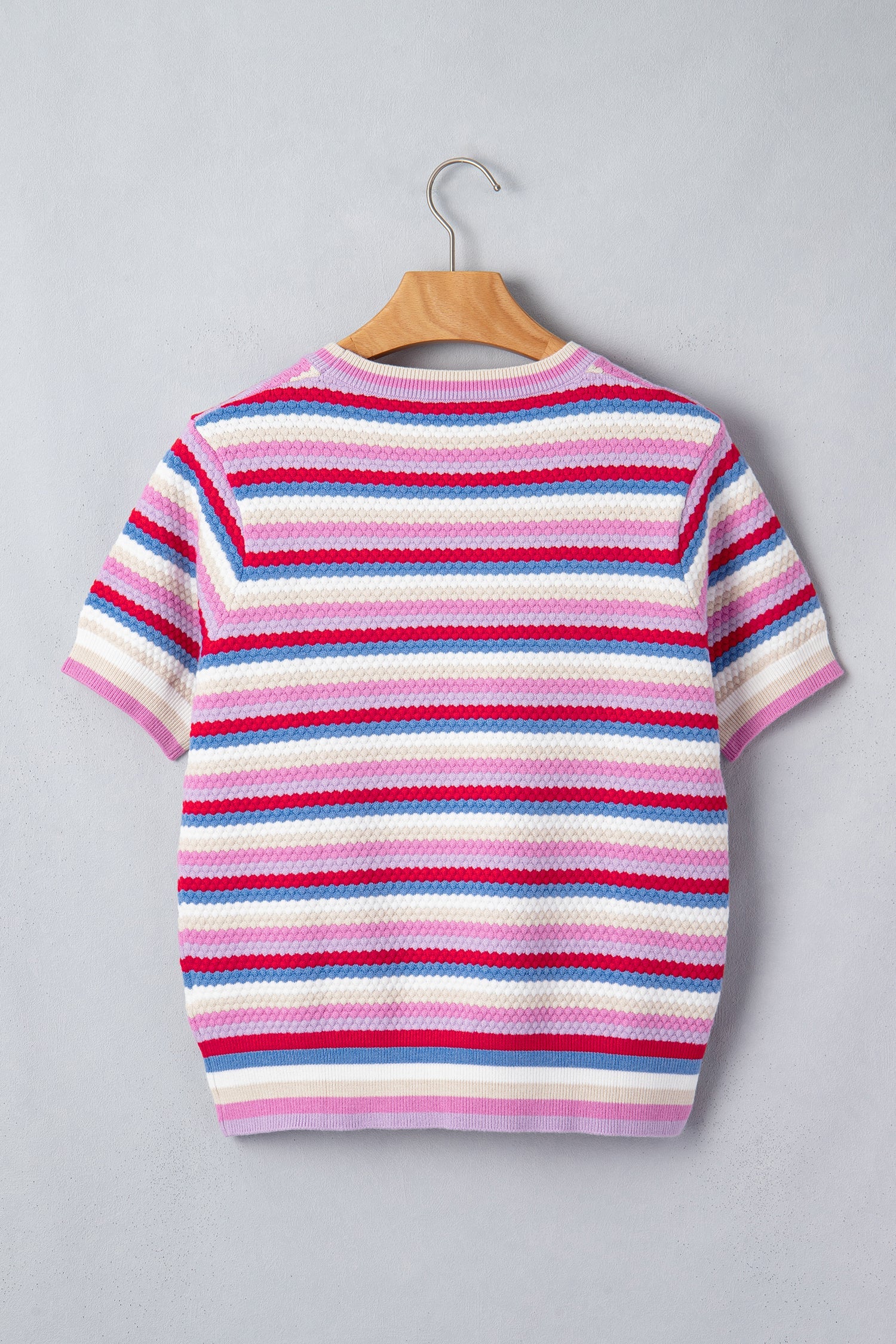 Bianca Striped Knit Short Sleeve Sweater with Crew Neck