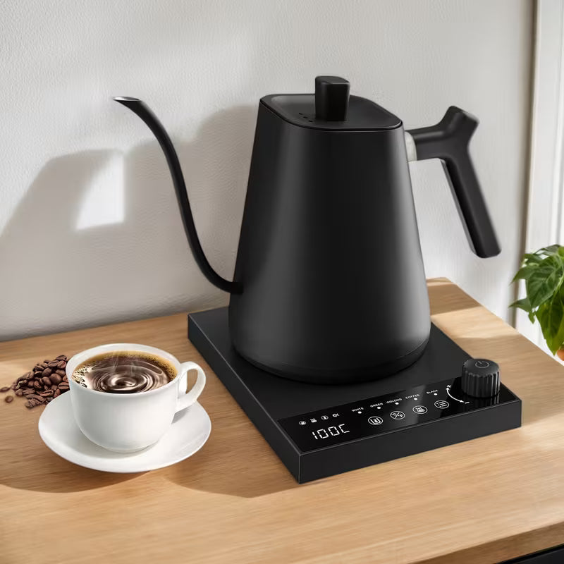 0.6-Liter Gooseneck Electric Kettle with Precision Temperature Control