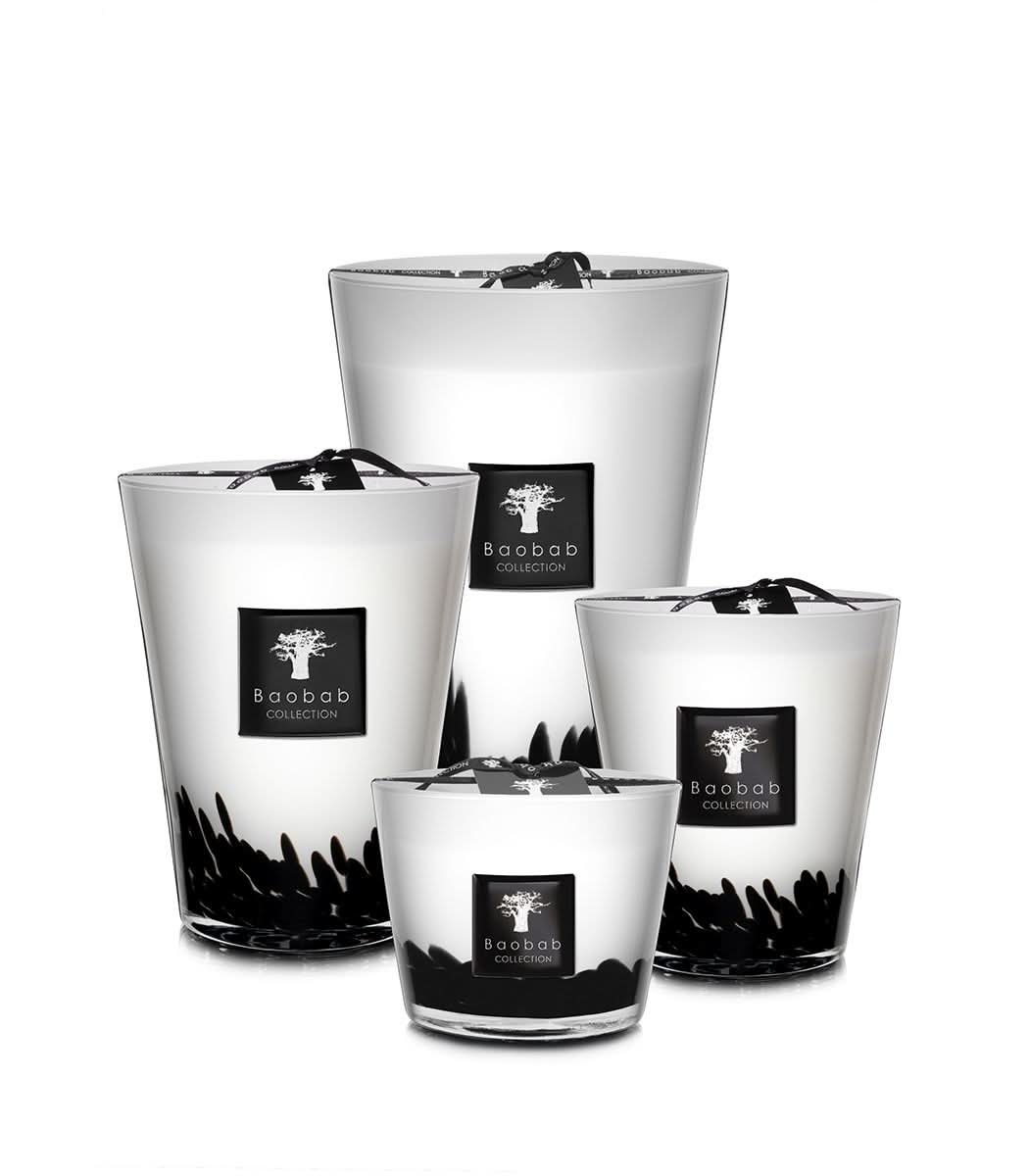 Feathers Max 10 Scented Candle with Elegant Black Inlays