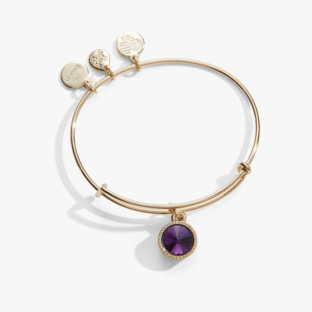 Gold-tone bangle featuring a vibrant purple Amethyst charm.