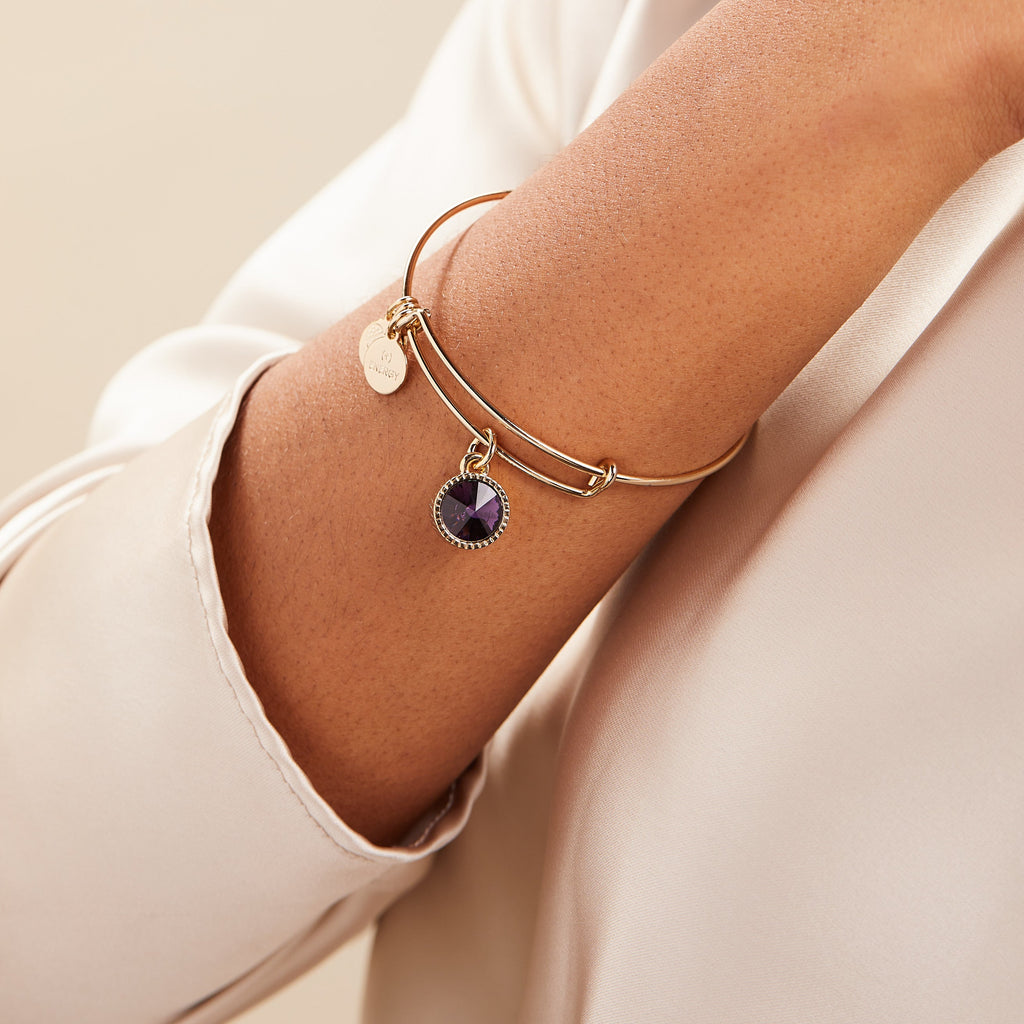 February Birthstone Amethyst Charm Bangle in Gold Tone