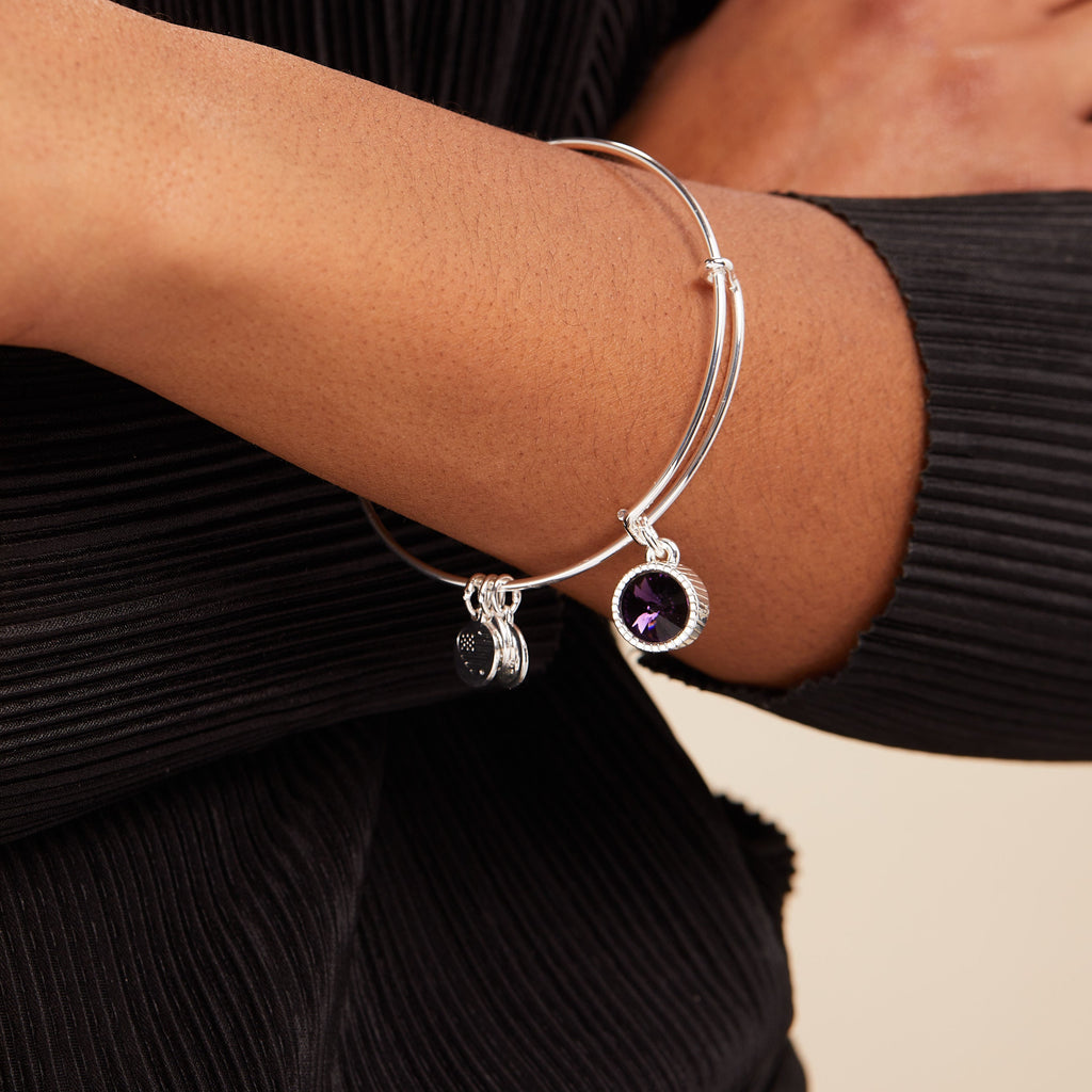 February Birthstone Amethyst Charm Bangle in Gold Tone