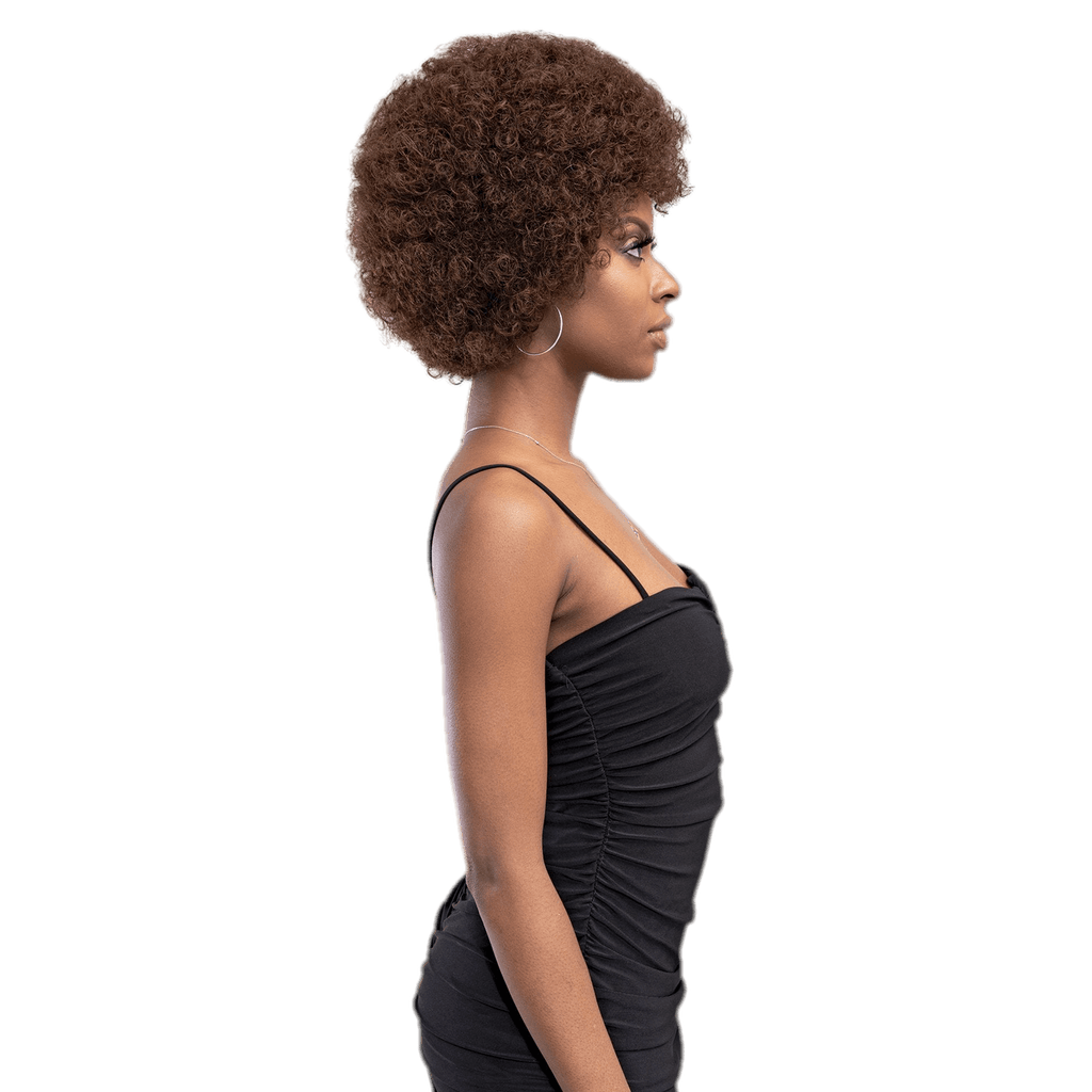 Femi Collection Afro Wig, Medium-Brown Natural Human Hair Wig