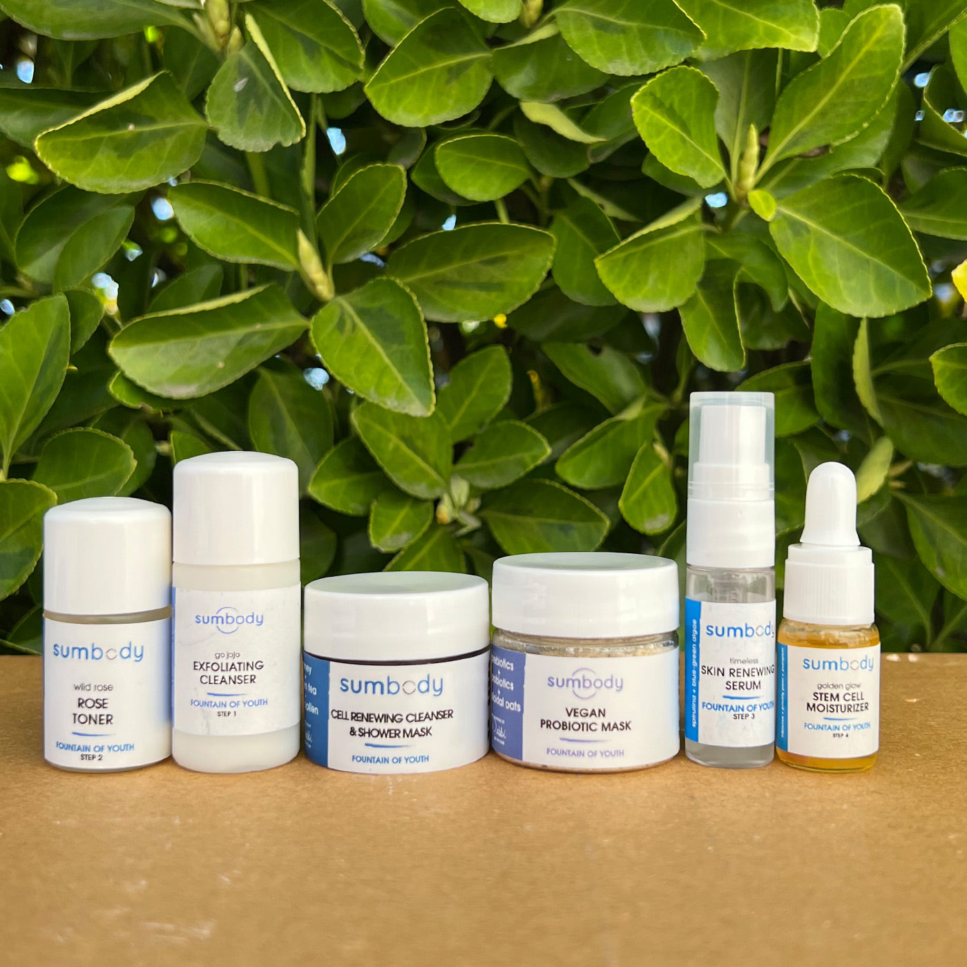 5 Steps to Perfect Skin Fountain of Youth Mini Kit