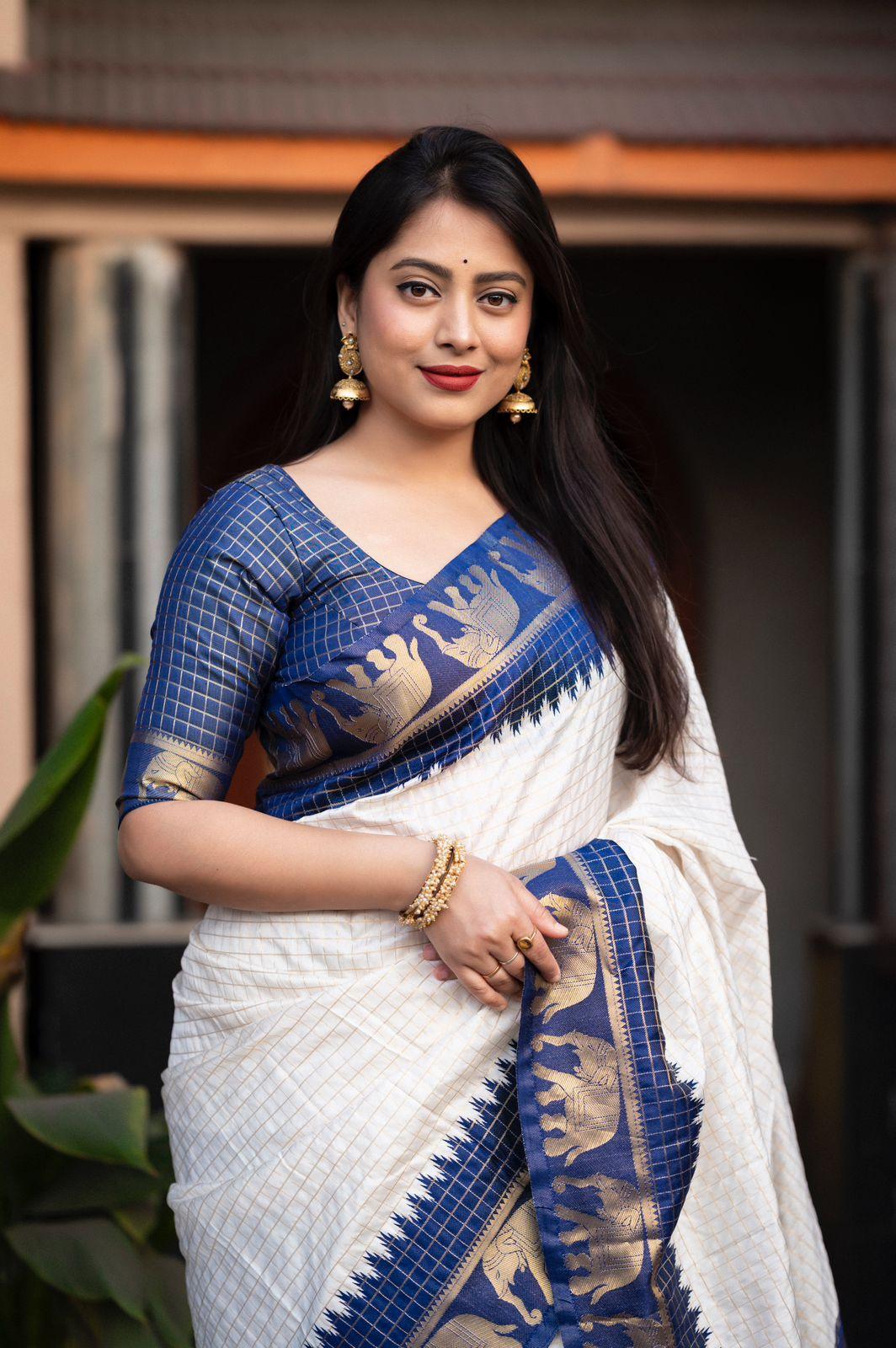 Nblue Silk Zari Woven Saree with Elephant Border and Rich Pallu