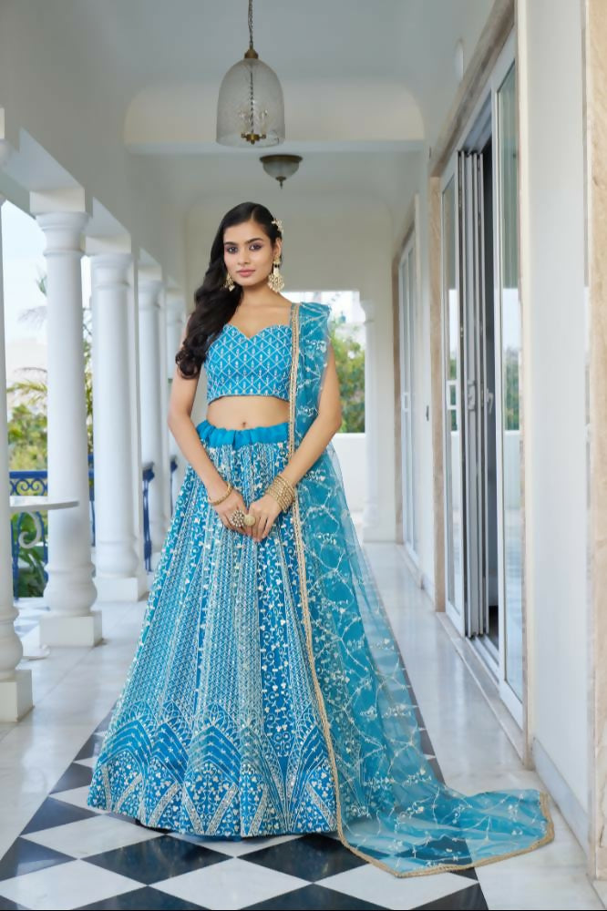 Sky Blue Butterfly Net lehenga with white thread and sequence detail