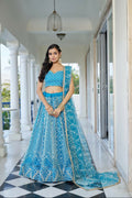 Sky Blue Butterfly Net lehenga with white thread and sequence detail