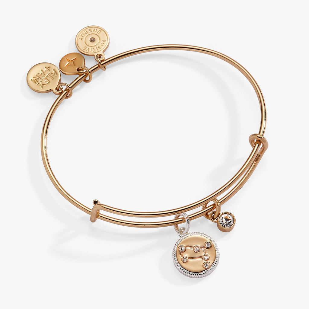Alex And Ani Gemini zodiac two-tone bangle with crystal constellation charm