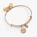 Alex And Ani Gemini zodiac two-tone bangle with crystal constellation charm